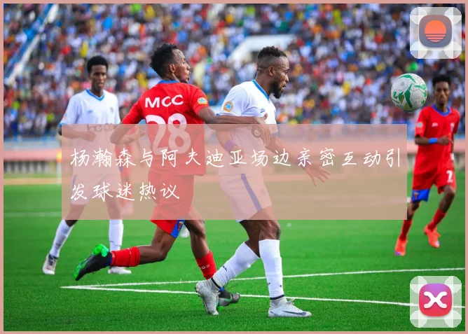 杨瀚森与阿夫迪亚场边亲密互动引发球迷热议