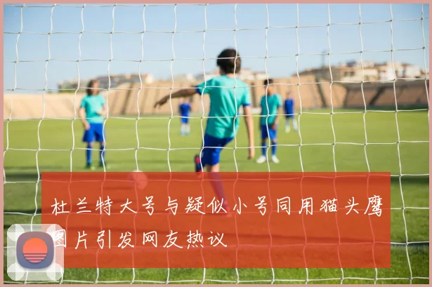 杜兰特大号与疑似小号同用猫头鹰图片引发网友热议